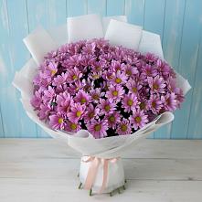 Букет цветов из:  Хризантемы в Усово-Тупик