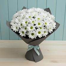 Букет цветов из:  Хризантемы #REPLACE_PRED# Усово-Тупик