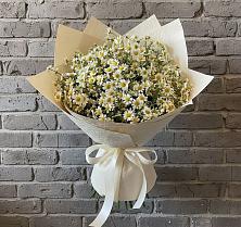 Букет цветов из:  Ромашки #REPLACE_PRED# Усово-Тупик