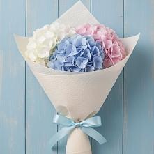 Букет цветов из:  Гортензия в Усово-Тупик