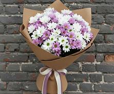 Букет цветов из:  Хризантемы в Усово-Тупик