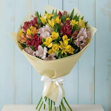 Букет цветов из:  Альстромерии #REPLACE_PRED# Усово-Тупик