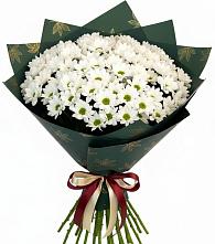 Букет цветов из:  Хризантемы #REPLACE_PRED# Усово-Тупик