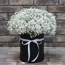 Цветочная композиция из Гипсофила в шляпной коробке в Усово-Тупик