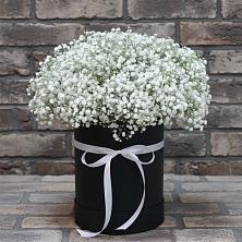 Цветочная композиция из Гипсофила в шляпной коробке в Усово-Тупик