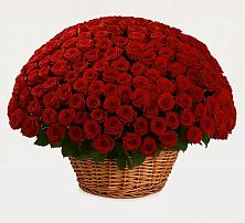 Премиум букет из: Розы в Усово-Тупик