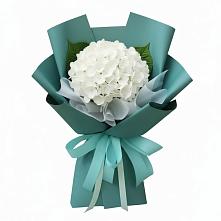 Букет цветов из:  Гортензия в Усово-Тупик